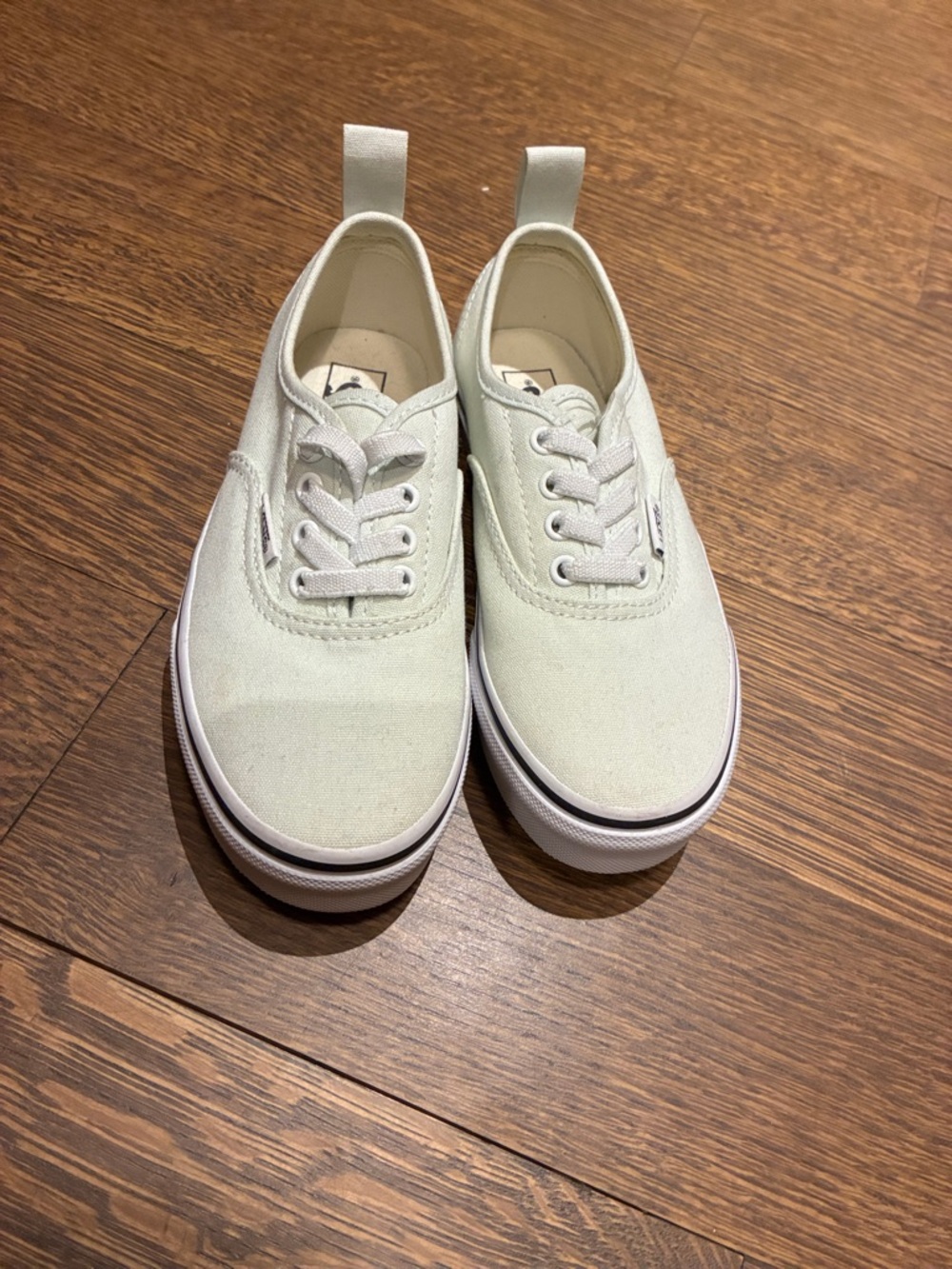 NWOT Vans Low-Top Canvas Sneakers in Pale Mint and White